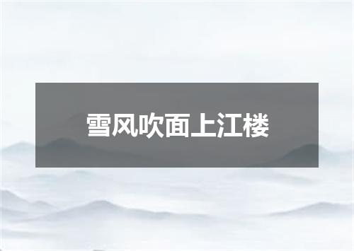 雪风吹面上江楼