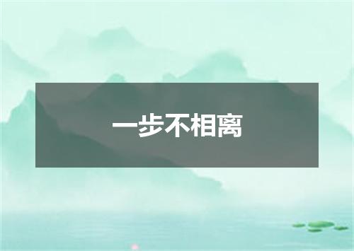 一步不相离