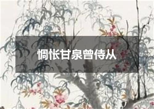 惆怅甘泉曾侍从