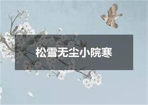 松雪无尘小院寒