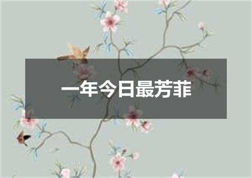 一年今日最芳菲