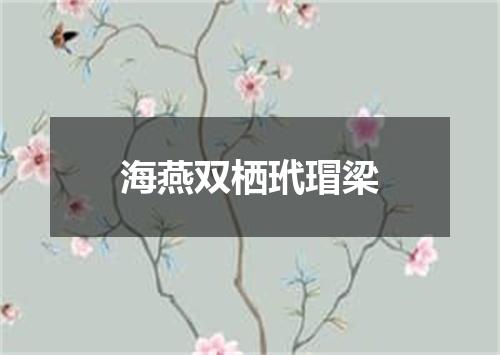 海燕双栖玳瑁梁