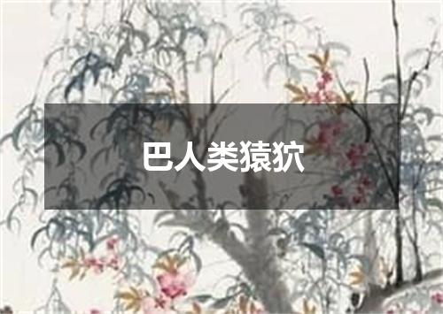 巴人类猿狖
