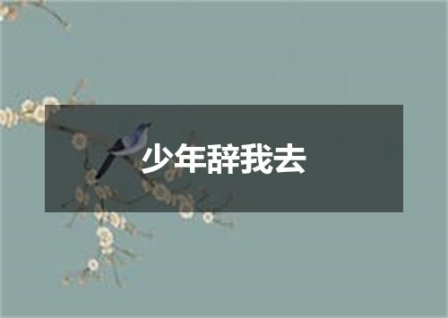 少年辞我去