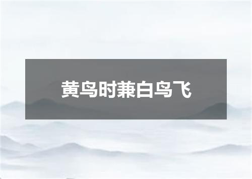 黄鸟时兼白鸟飞