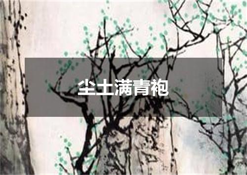 尘土满青袍