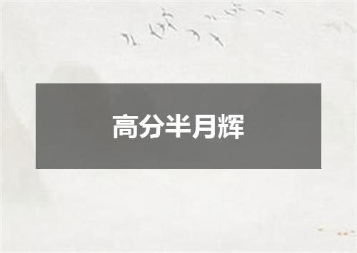 高分半月辉
