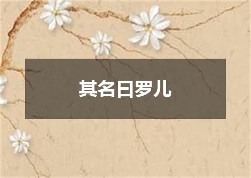 其名曰罗儿