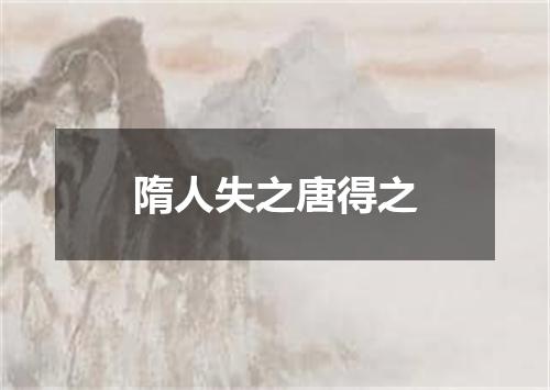 隋人失之唐得之