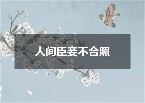 人间臣妾不合照