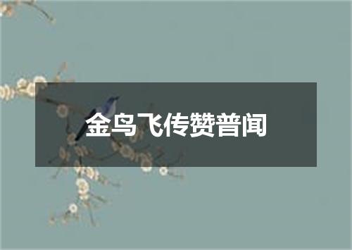 金鸟飞传赞普闻