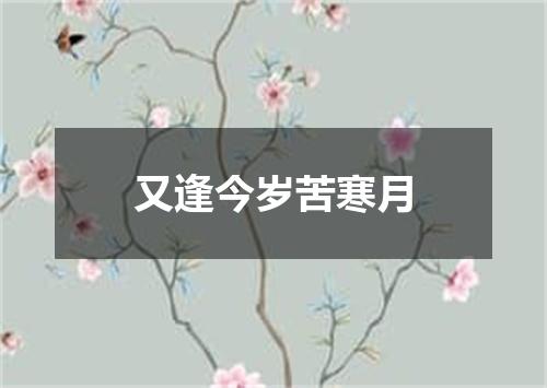 又逢今岁苦寒月