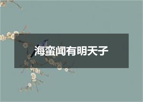 海蛮闻有明天子