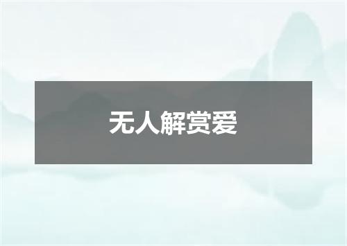 无人解赏爱