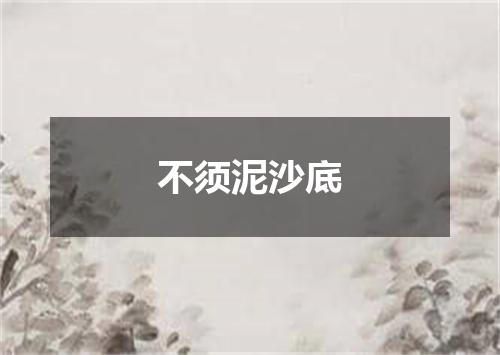 不须泥沙底
