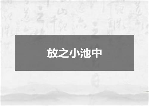 放之小池中