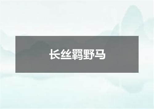 长丝羁野马