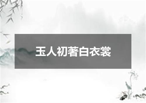 玉人初著白衣裳