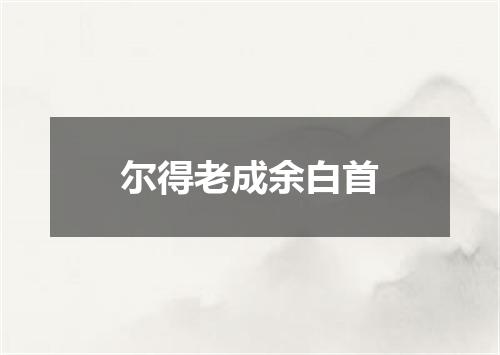 尔得老成余白首