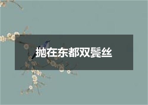 抛在东都双鬓丝