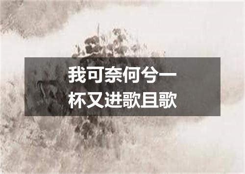 我可奈何兮一杯又进歌且歌