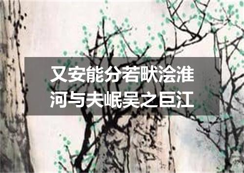 又安能分若畎浍淮河与夫岷吴之巨江