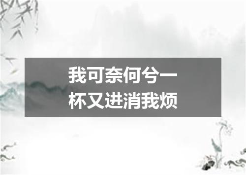 我可奈何兮一杯又进消我烦