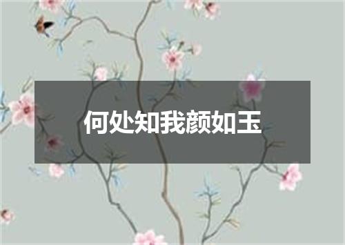 何处知我颜如玉