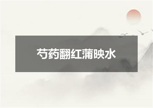 芍药翻红蒲映水