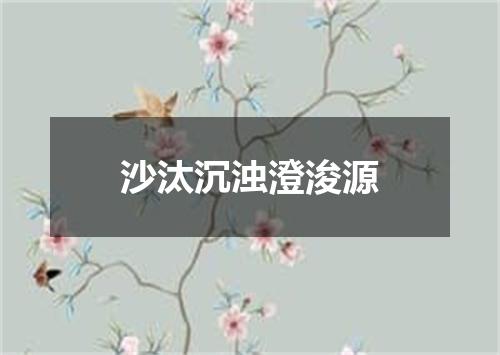 沙汰沉浊澄浚源
