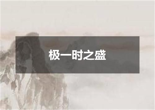 极一时之盛