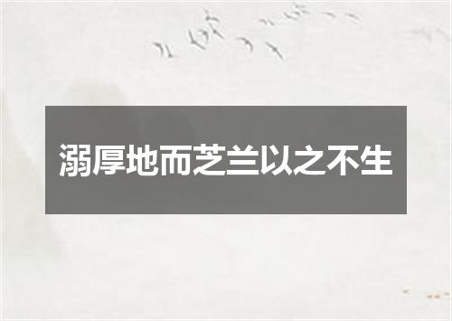 溺厚地而芝兰以之不生