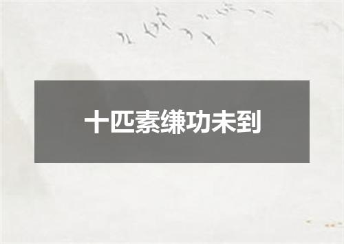 十匹素缣功未到