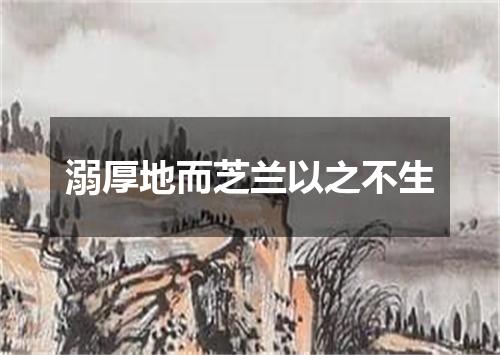 溺厚地而芝兰以之不生