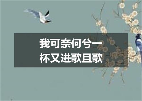 我可奈何兮一杯又进歌且歌