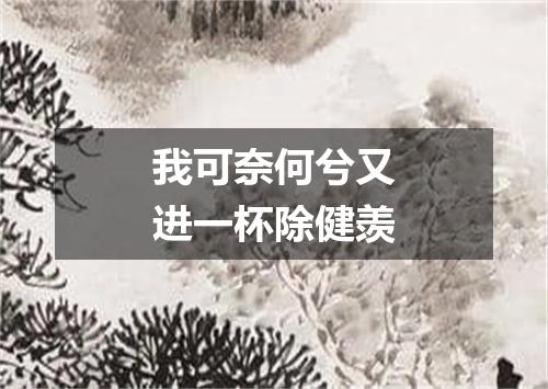 我可奈何兮又进一杯除健羡