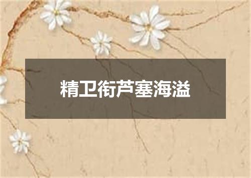 精卫衔芦塞海溢