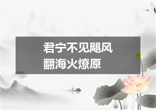 君宁不见飓风翻海火燎原