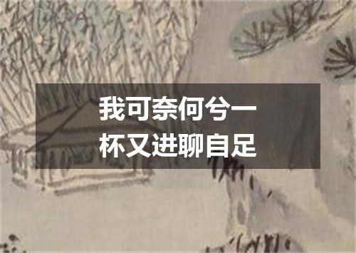 我可奈何兮一杯又进聊自足