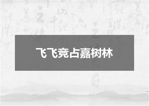 飞飞竞占嘉树林