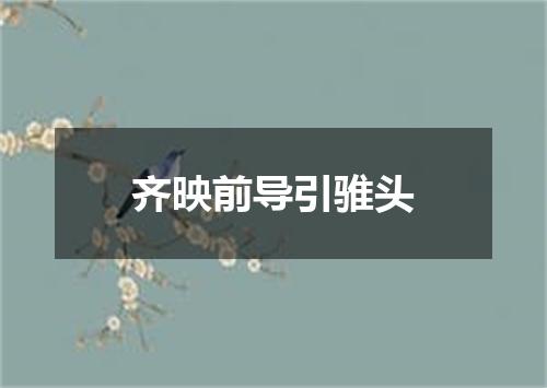 齐映前导引骓头