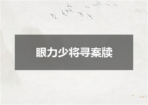 眼力少将寻案牍