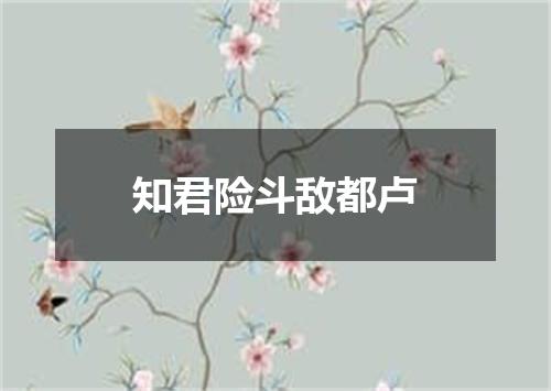 知君险斗敌都卢