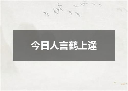 今日人言鹤上逢