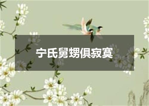 宁氏舅甥俱寂寞