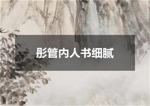 彤管内人书细腻