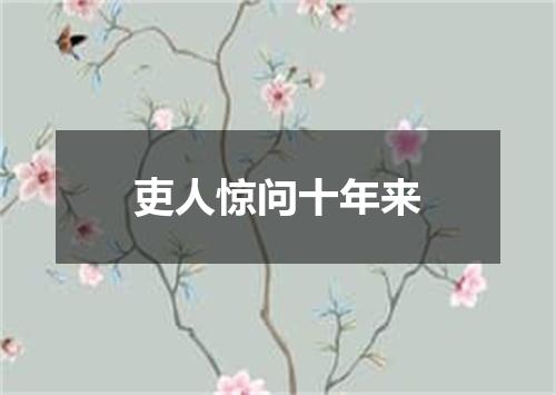 吏人惊问十年来