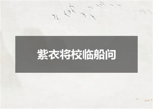 紫衣将校临船问