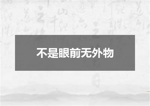 不是眼前无外物