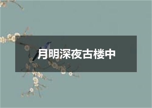 月明深夜古楼中